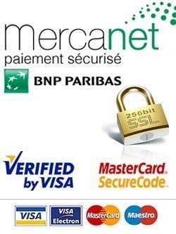 logo paiement sécurisé Mercanet BNP